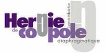 Centre de Référence Maladie Rare de Hernie de Coupole Diaphragmatique