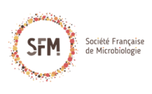 Logo SFM