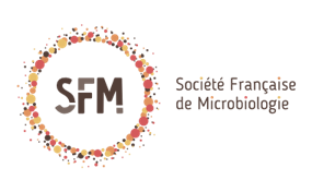 Logo SFM